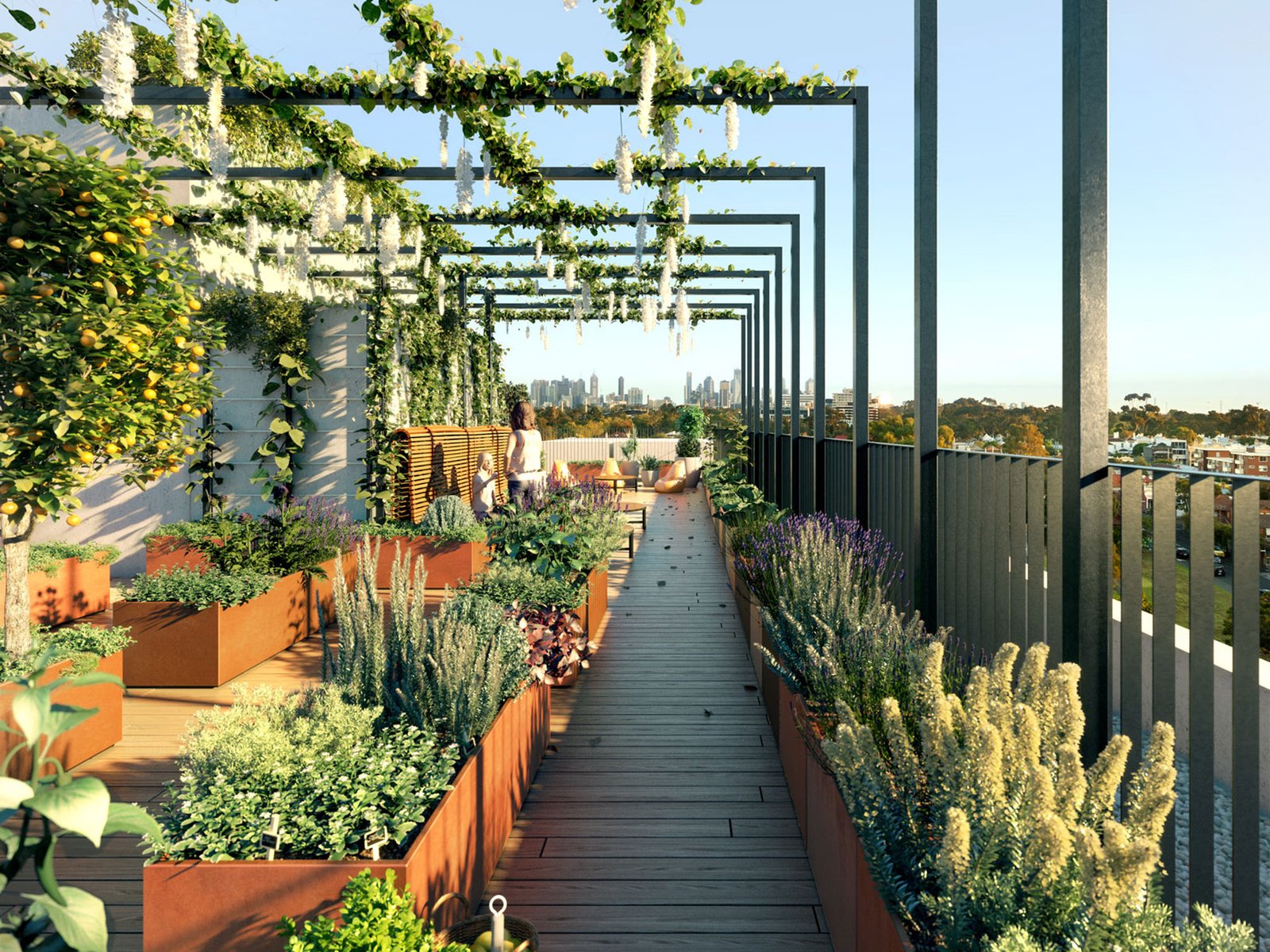 Rooftop Garden